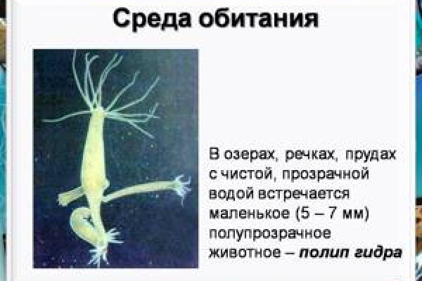 Как зарегистрироваться на кракене