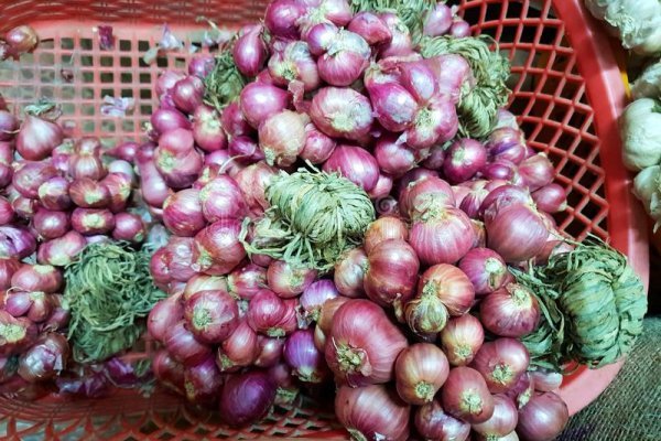 Клирнет ссылка на зеркало маркетплейс кракен