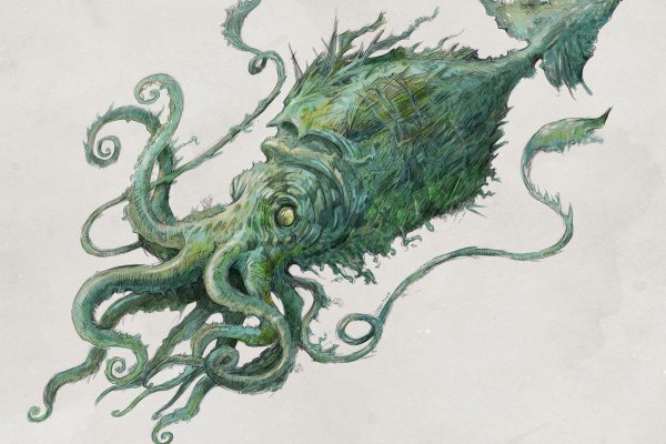 Kraken 19at