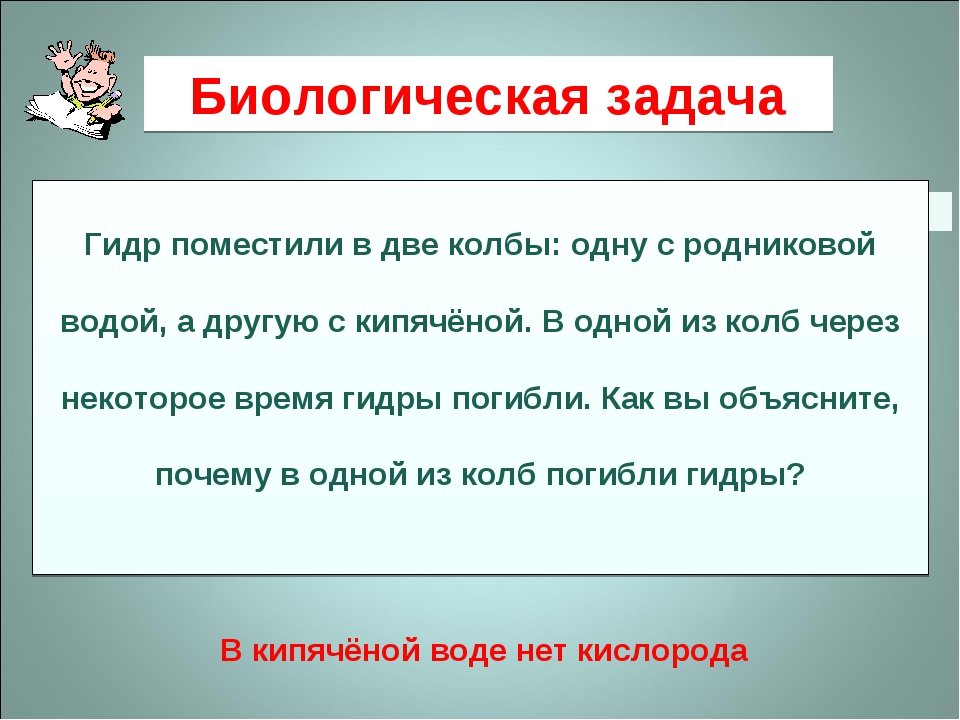 Кракен маркет зеркало