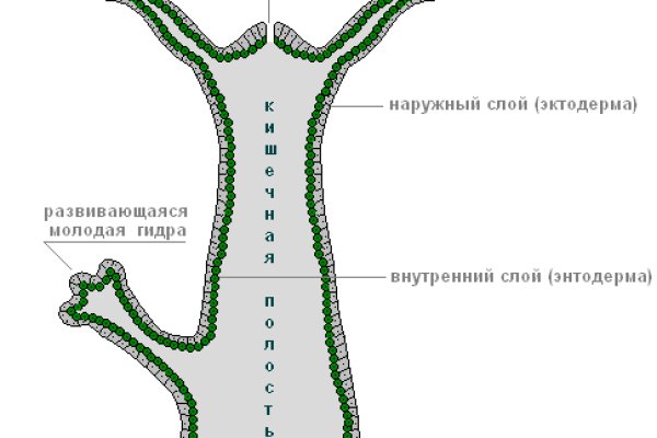 Тор браузер кракен