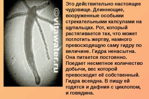 Kraken com супернет