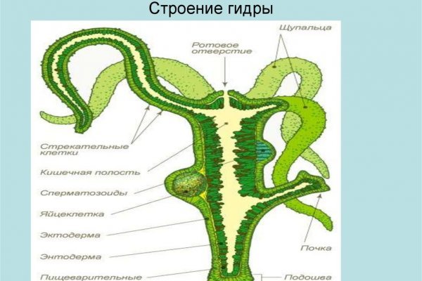 Kraken официальная ссылка
