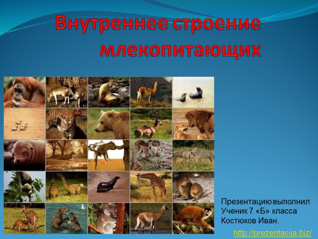 Войти в кракен
