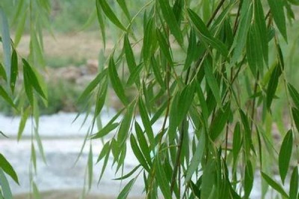 Кракен площадка kr2web in