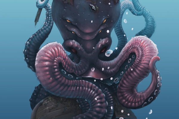 Kraken whitenet marketplace