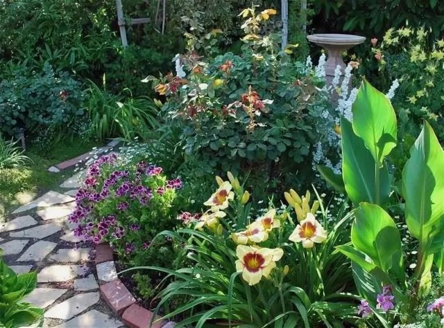 Цветы ириса (ириса) в дизайне сада, дачи