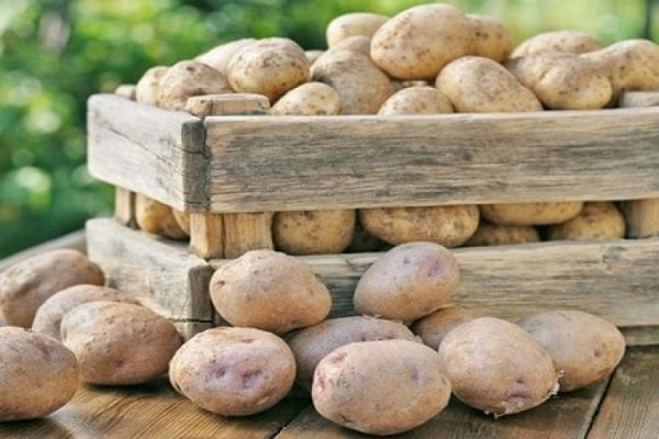 Как и где правильно хранить картошку дома в квартире