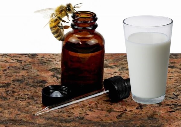 Настойка прополиса на молоке: лечебные свойства и противопоказания, что лечит, рецепты