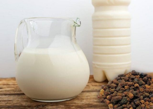 Настойка прополиса на молоке: лечебные свойства и противопоказания, что лечит, рецепты