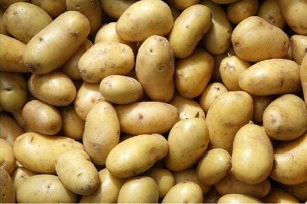 Описание сорта картофеля Наташа, его характеристики и урожайность