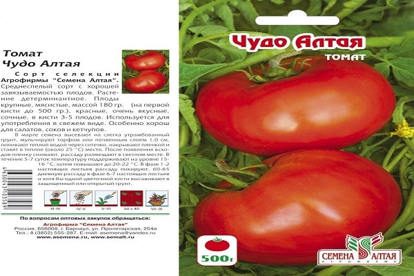 Описание сорта томатов Чудо-Алтай, особенности выращивания и ухода