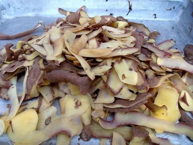 Подкормка смородины весной картофельной кожурой