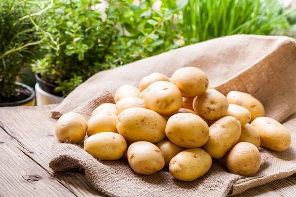 Причины, по которым картофель плохо растет в саду и что делать