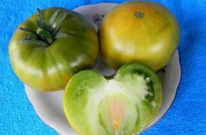 Ящик для помидоров Малахитовый: характеристика и описание сорта