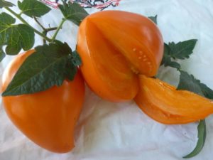 Помидор клубника апельсиновый: описание сорта, фото, отзывы