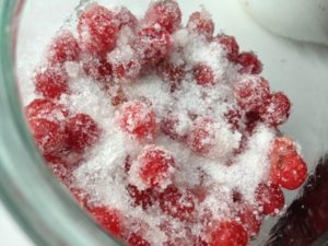 Варенье из калины на зиму: 12 рецептов