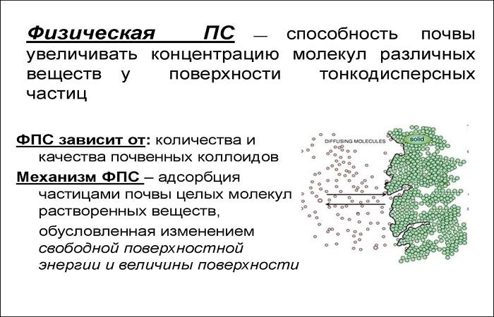 Способность почвы. Физическая поглотительная способность почвы. Физическое поглощение почвы. Свойства молекулярной сорбционной поглотительной способности почвы. Какой заряд у почвенно-поглотительного комплекса.