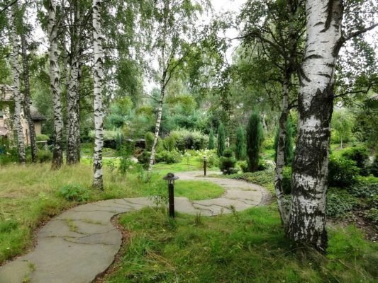 Березы, ручей и баня: 54 идеи оформления сада в русском стиле