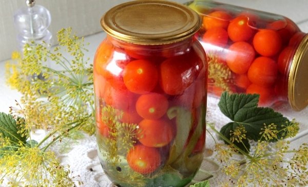 Де Барао: Как вырастить ряд популярных поздних сортов томатов?