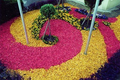 Декоративная щепа: украшение сада цветной мульчей