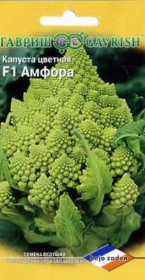 Экстравагантный овощ - капуста Романеско