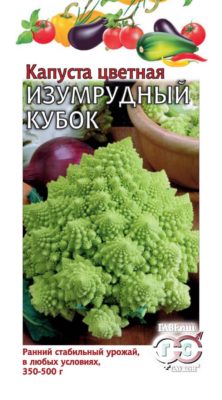 Экстравагантный овощ - капуста Романеско