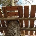Домик на дереве своими руками: нюансы базового монтажа + примеры обустройства