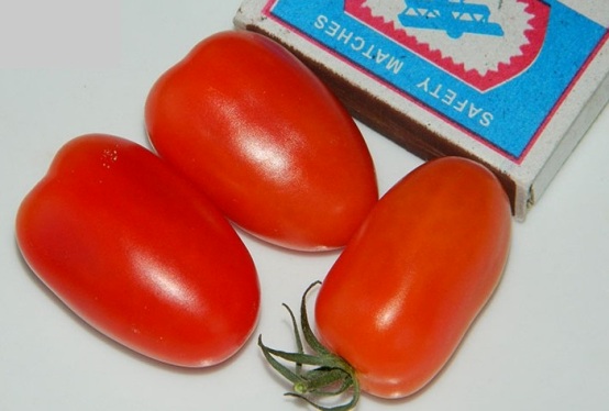 Характеристика и описание сорта томата Ред финик (желтый, оранжевый, сибирский) F1, его урожайность