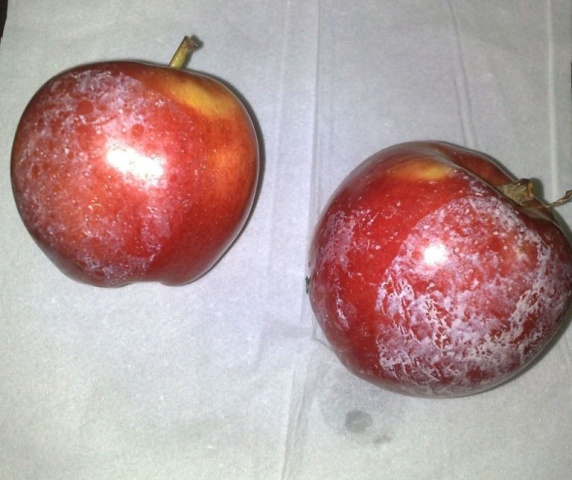 Храните яблоки на зиму в погребе