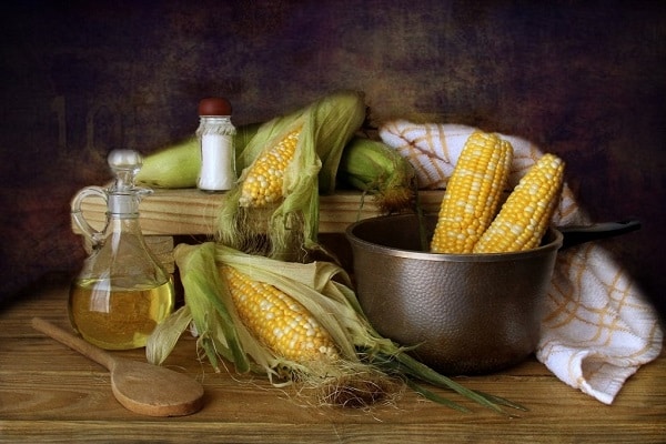 К какому семейству и виду относится кукуруза: овощным, фруктовым или злаковым