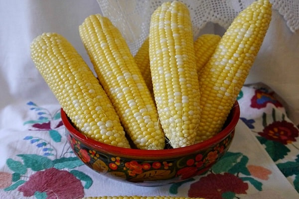 К какому семейству и виду относится кукуруза: овощным, фруктовым или злаковым