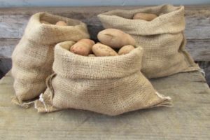 Как хранить картошку в погребе зимой
