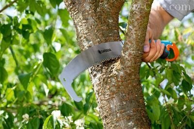 Как правильно выбрать ножовку: в поисках лучшей ручной пилы по дереву