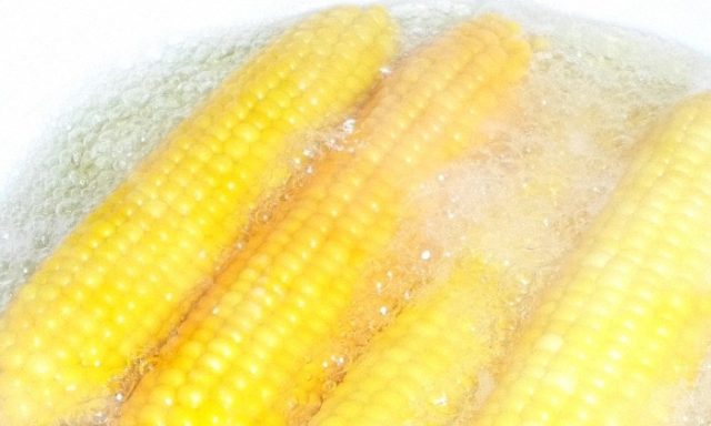 Как заморозить кукурузу на зиму: початки и зерна