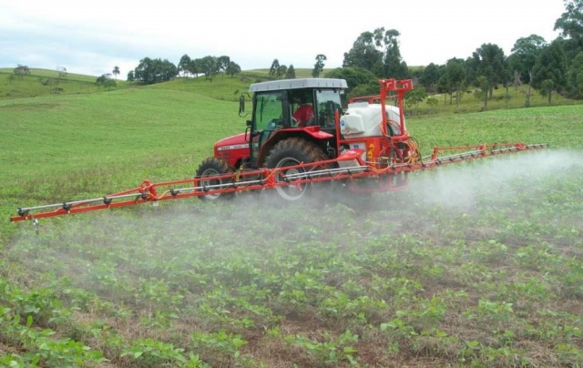Как гербицид для лечения картофеля от сорняков