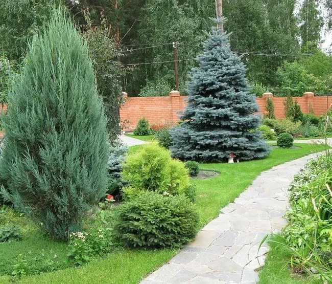 Калимагнезия - применение удобрений в саду и на огороде, правила внесения осенью, весной и летом