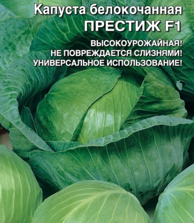 Капуста Престиж F1: описание сорта, характеристики, урожайность
