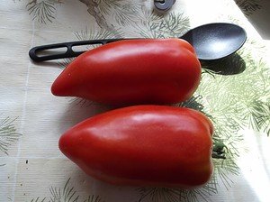 Корнабель - сладкий помидор загадочной формы