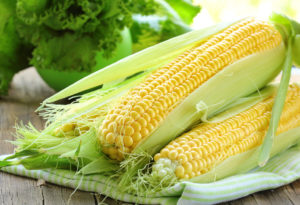 Кукуруза: чем полезна, химический состав, противопоказания