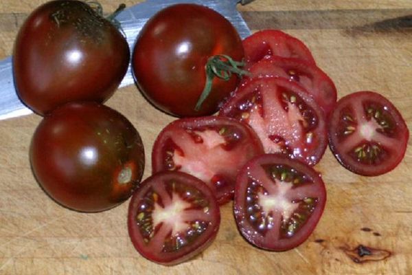 Описание сорта томатов Ашдод и его характеристики