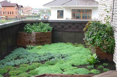 Озеленение крыши садового домика: правила строительства «лужайки на крыше”