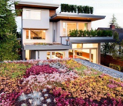 Озеленение крыши садового домика: правила строительства «лужайки на крыше”