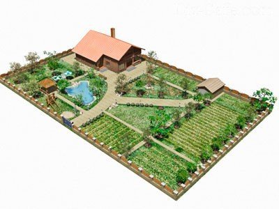Планировка огорода и фруктового сада: от рисования до посадки культур на примерах