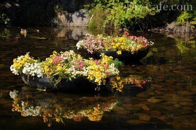 Плавающие клумбы: 4 способа сделать миниатюрные цветочные островки в пруду