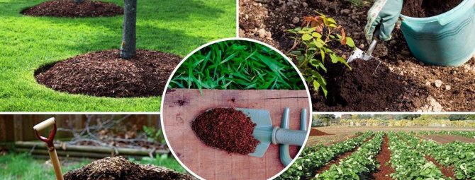 Полезный компост: правила укладки и сбора растительных отходов