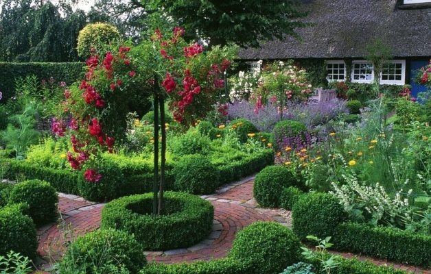 Самшит в саду: 50 фото лучших идей для применения в ландшафтном дизайне