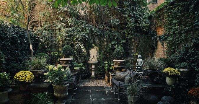 Самшит в саду: 50 фото лучших идей для применения в ландшафтном дизайне