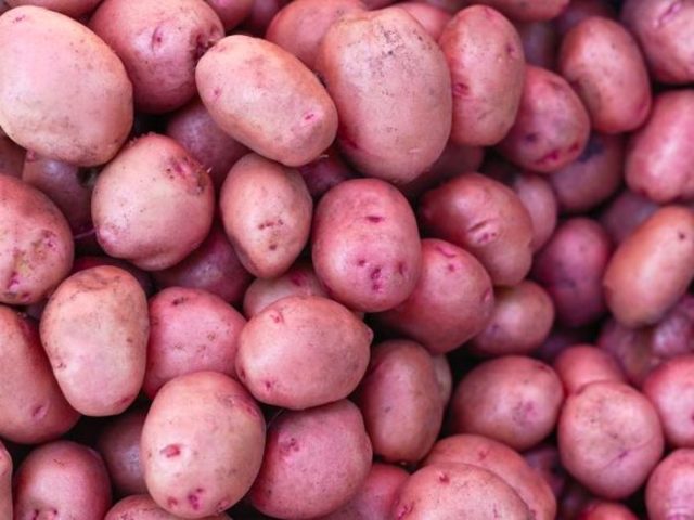 Сорта картофеля Кумач: характеристика, отзывы, урожайность