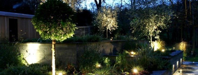 Сравнительный обзор садовых светильников: как правильно выбрать садовое освещение